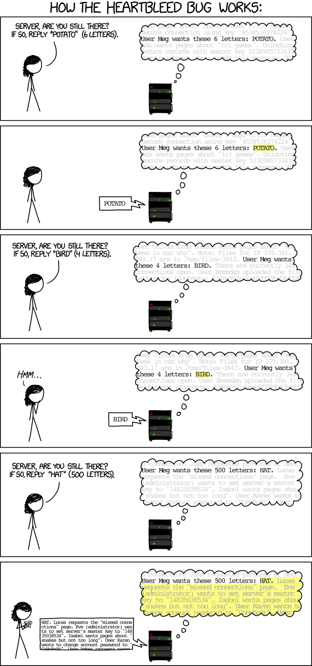 Heartbleed explained